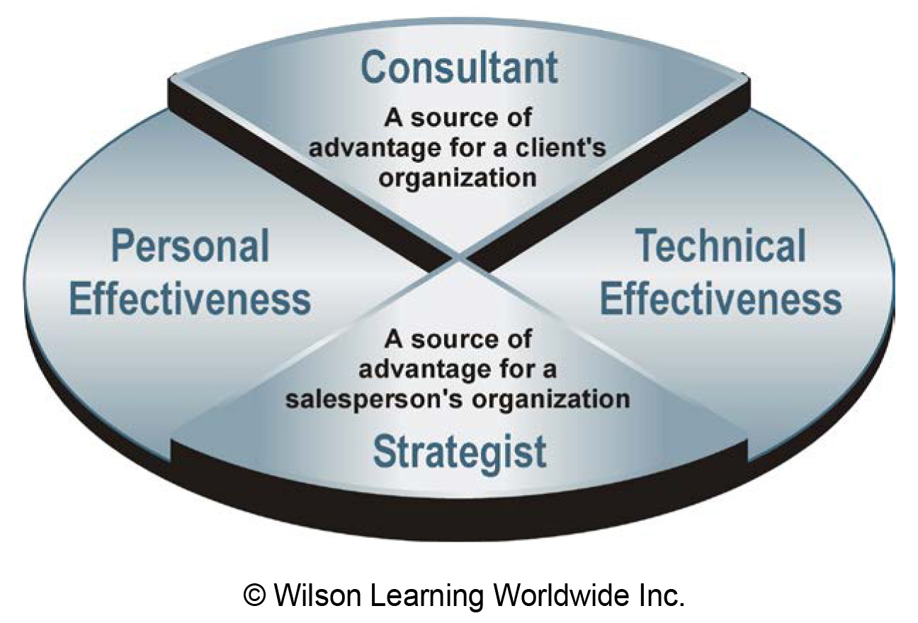 The Consultant/Strategist Model