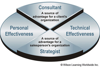 The Consultant/Strategist Model