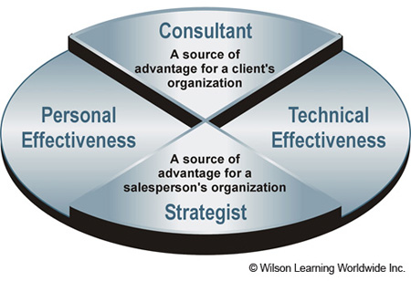 The Consultant/Strategist Model